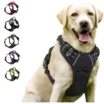 no pull dog harness