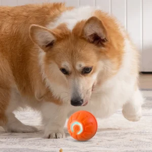 Interactive Dog Ball – Automatic Bouncing and Vibrating Toy for Energetic Puppies - Image 6
