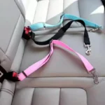 dog car seat belt