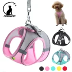 dog harness