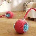 cat toy
