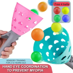 Home 31 catch ball toy